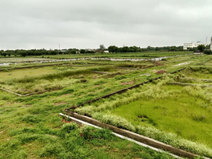 undefined, agra bye pass road  84 Sq.Mt. Plot In Agra Bye Pass Road Agra 9095688