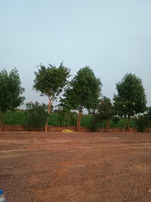 Plot Area in  Plot at Nagalia – for Sale