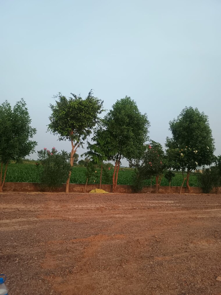 undefined, nagalia  200 Sq.Yd. Plot In Nagalia Palwal 9095827