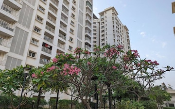 3.5 BHK Apartment For Sale in Prestige Park View, Whitefield