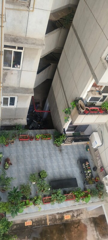 Balcony in 3 BHK Apartment at Joy kunj Apartment, Sector 56 – for Rent
