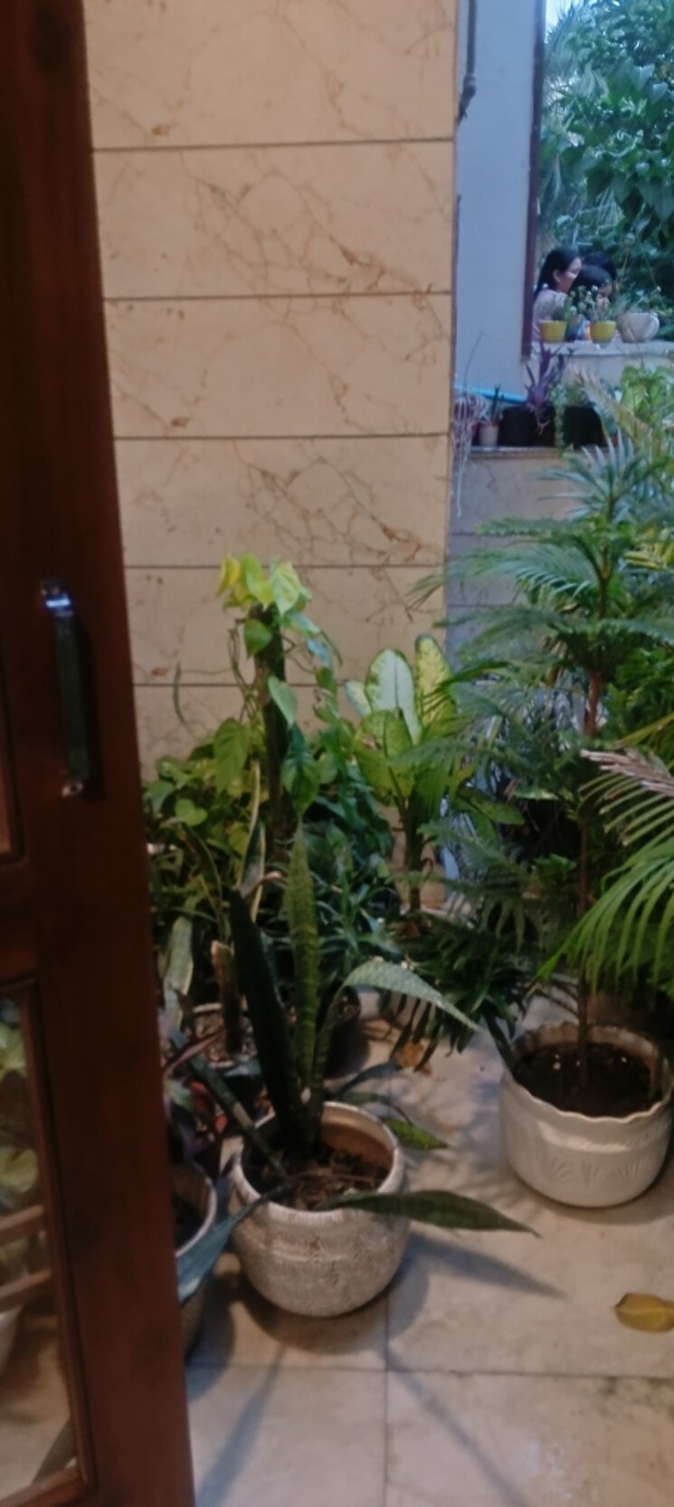 Garden, rwa-residential-society-sector-46 1 Bedroom 500 Sq.Ft. Builder Floor In Sector 46 Gurgaon 9096097