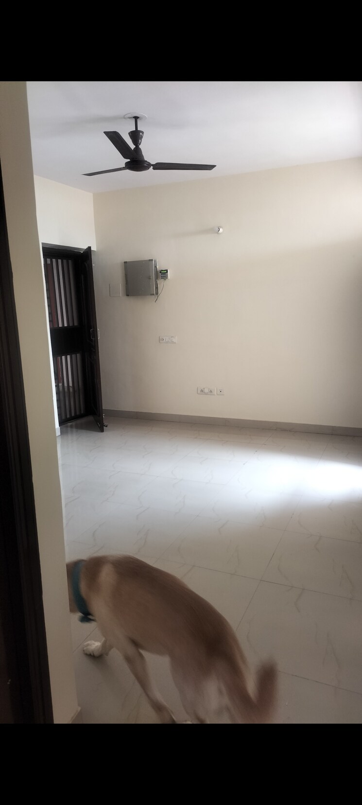 Room, srs-royal-hills 2.5 Bedroom 1133 Sq.Ft. Apartment In Sector 87 Faridabad 9096209