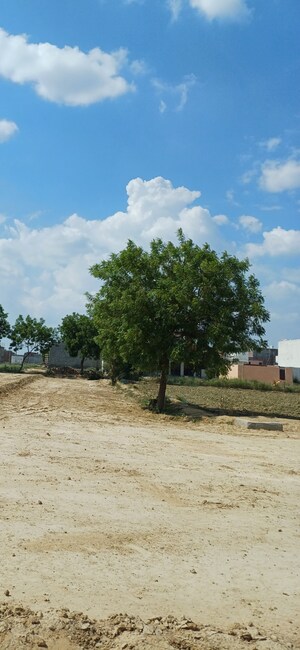  Plot For Sale in Dheeraj Nagar