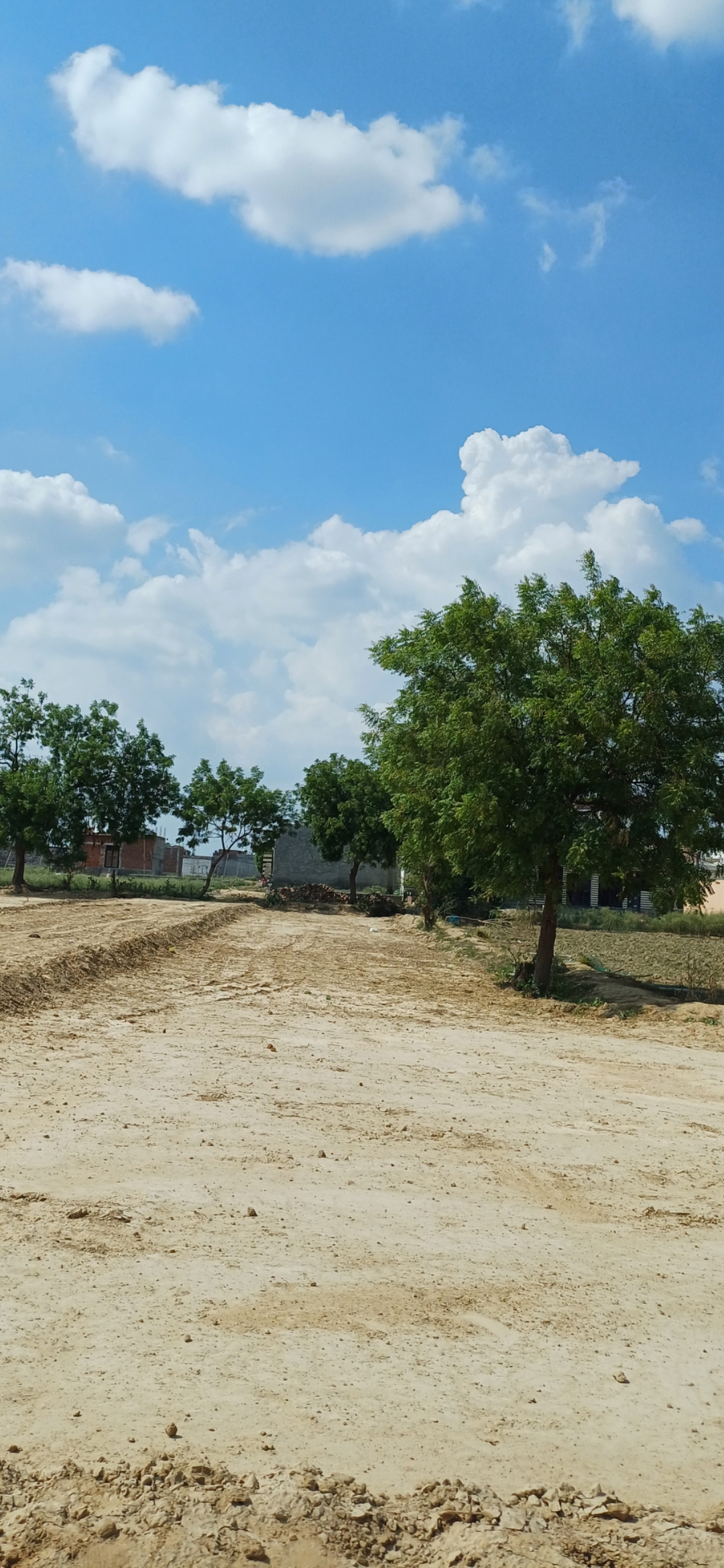 Plot For Sale in Om Associates 