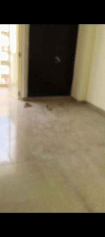 Room in 2.5 BHK Apartment at Panchsheel Hynish, Sector 1 Greater Noida – for Rent