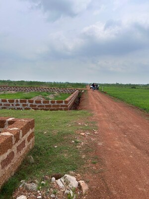 Plot Area in  Plot at Patrapada – for Sale