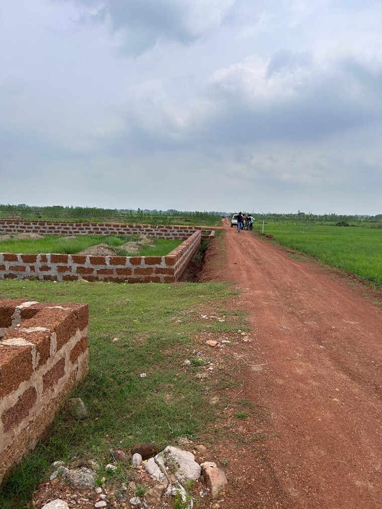 undefined, patrapada  1200 Sq.Ft. Plot In Patrapada Bhubaneswar 9096448