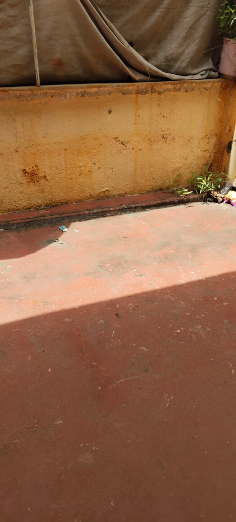 undefined, erandwane 1 RK 450 Sq.Ft. Apartment In Erandwane Pune 9096575