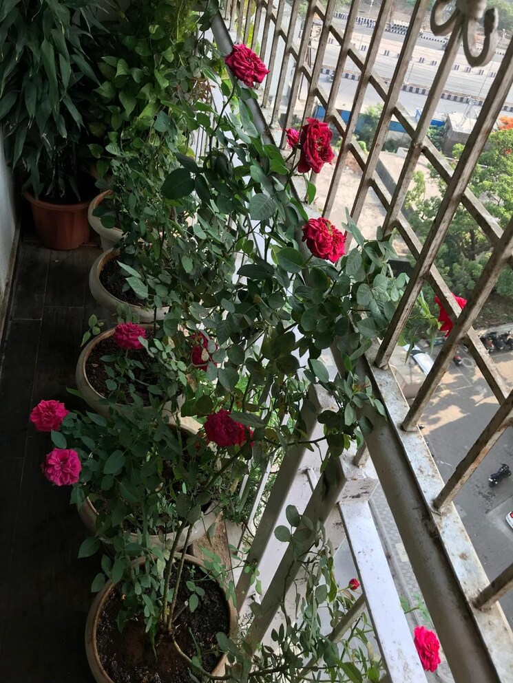 Balcony, atlanta-enclave 2.5 Bedroom 1300 Sq.Ft. Apartment In Shilphata Thane 9096684