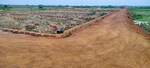 1500 Sq.Yd. Plot in Patrapada