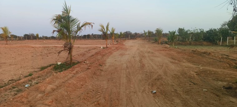 undefined, shabad  605 Sq.Yd. Plot In Shabad Hyderabad 9096907