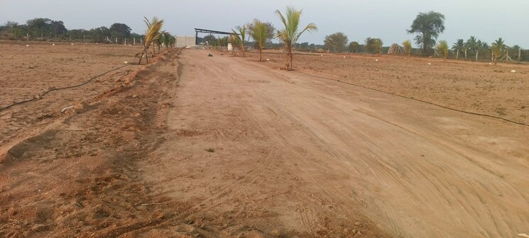 undefined, shabad  605 Sq.Yd. Plot In Shabad Hyderabad 9096907