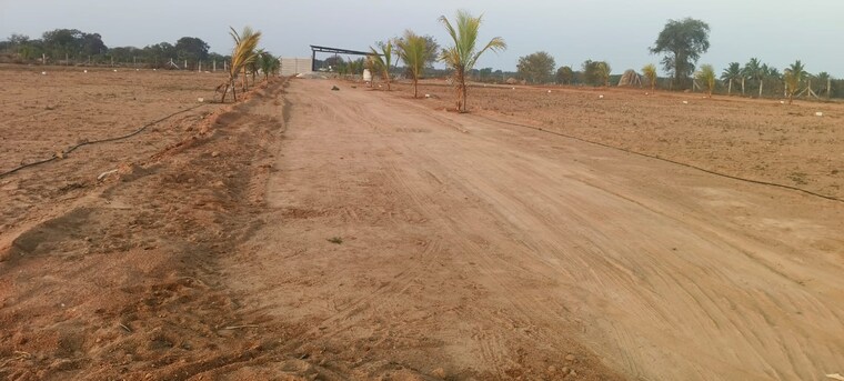 undefined, shabad  605 Sq.Yd. Plot In Shabad Hyderabad 9096907