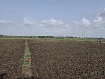 3000 Sq.Yd. Land in Surat
