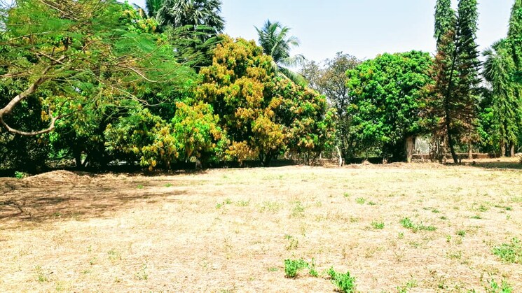 Garden, virar east Commercial Land 200000 Sq.Ft. In Virar East Palghar 9097410
