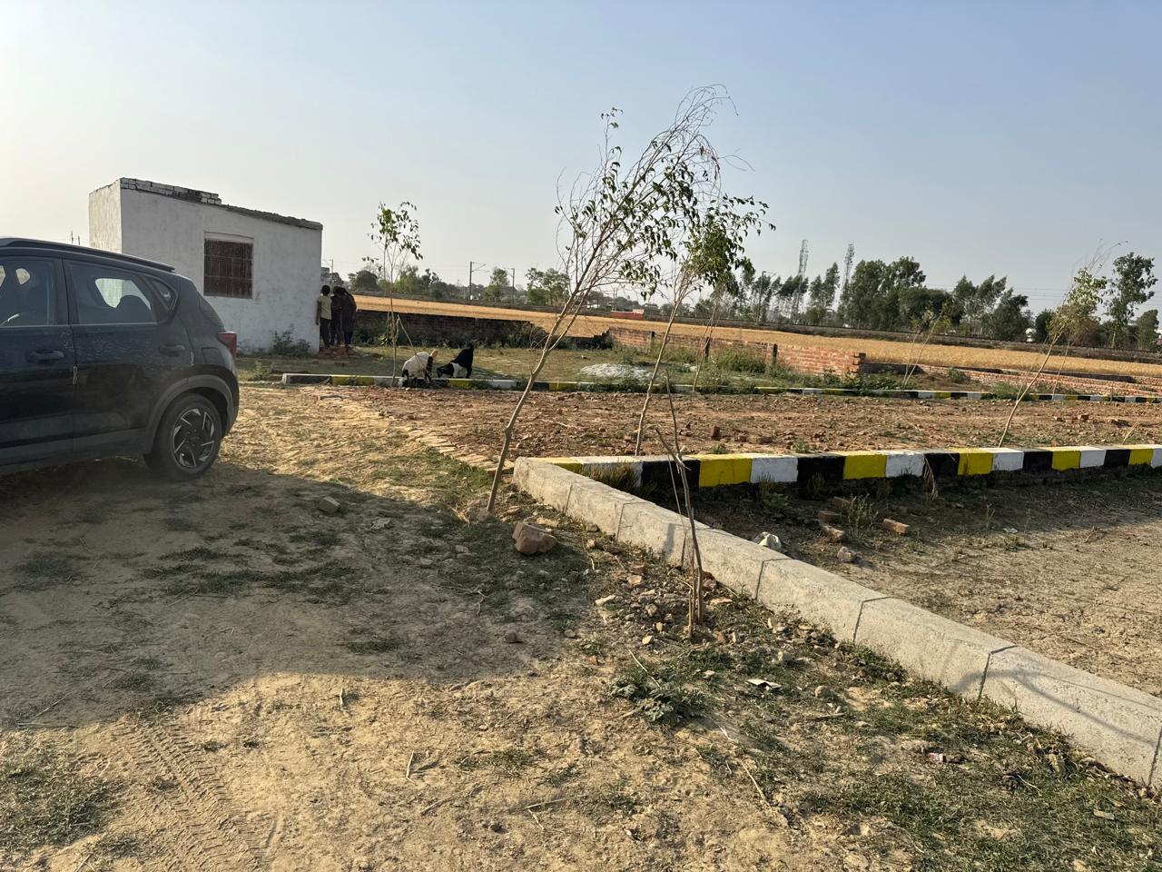 Plot For Sale in Raebareli Road