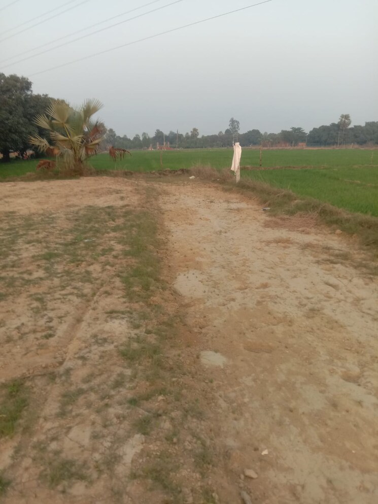 undefined, kanpur road  1150 Sq.Ft. Plot In Kanpur Road Lucknow 9097505