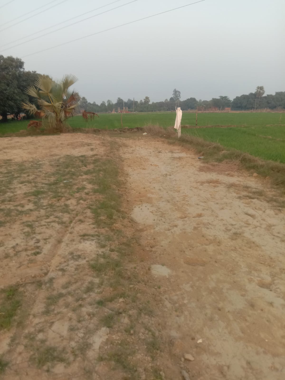 Plot For Sale in Kanpur Road