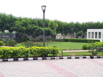 Plot Area in 2 BHK Apartment at Paras Dews, Sector 106 – for Rent