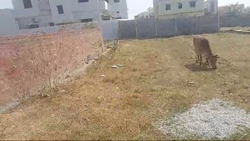 Plot Area in  Plot at Latma Road – for Sale