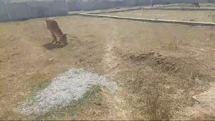 undefined, latma road  2613 Sq.Ft. Plot In Latma Road Ranchi 9097640