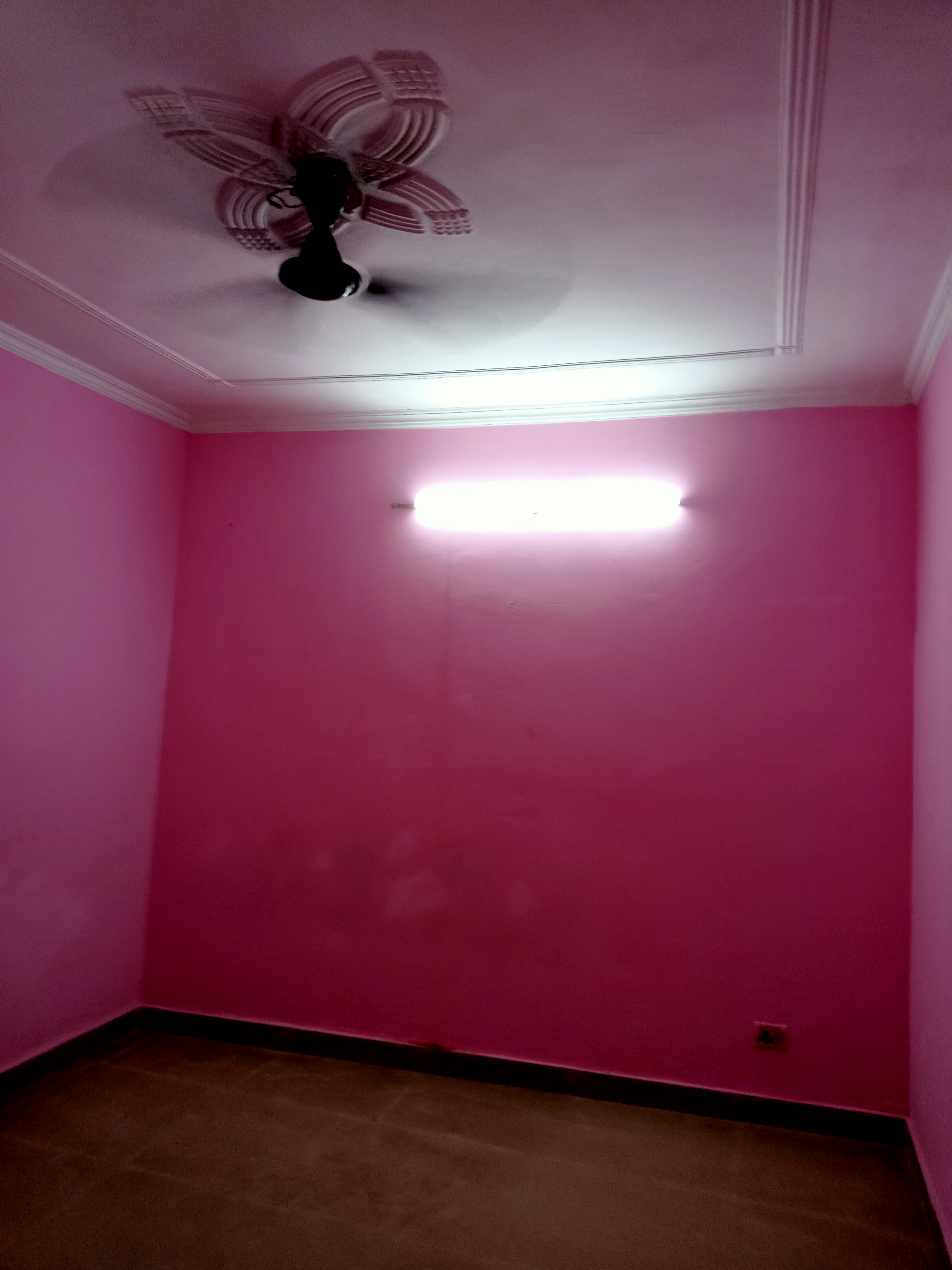 1 BHK Builder Floor For Rent in Neb Sarai