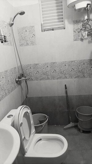 Bathroom in 2 BHK Apartment at Windlass River Valley, Harrawala – for Sale