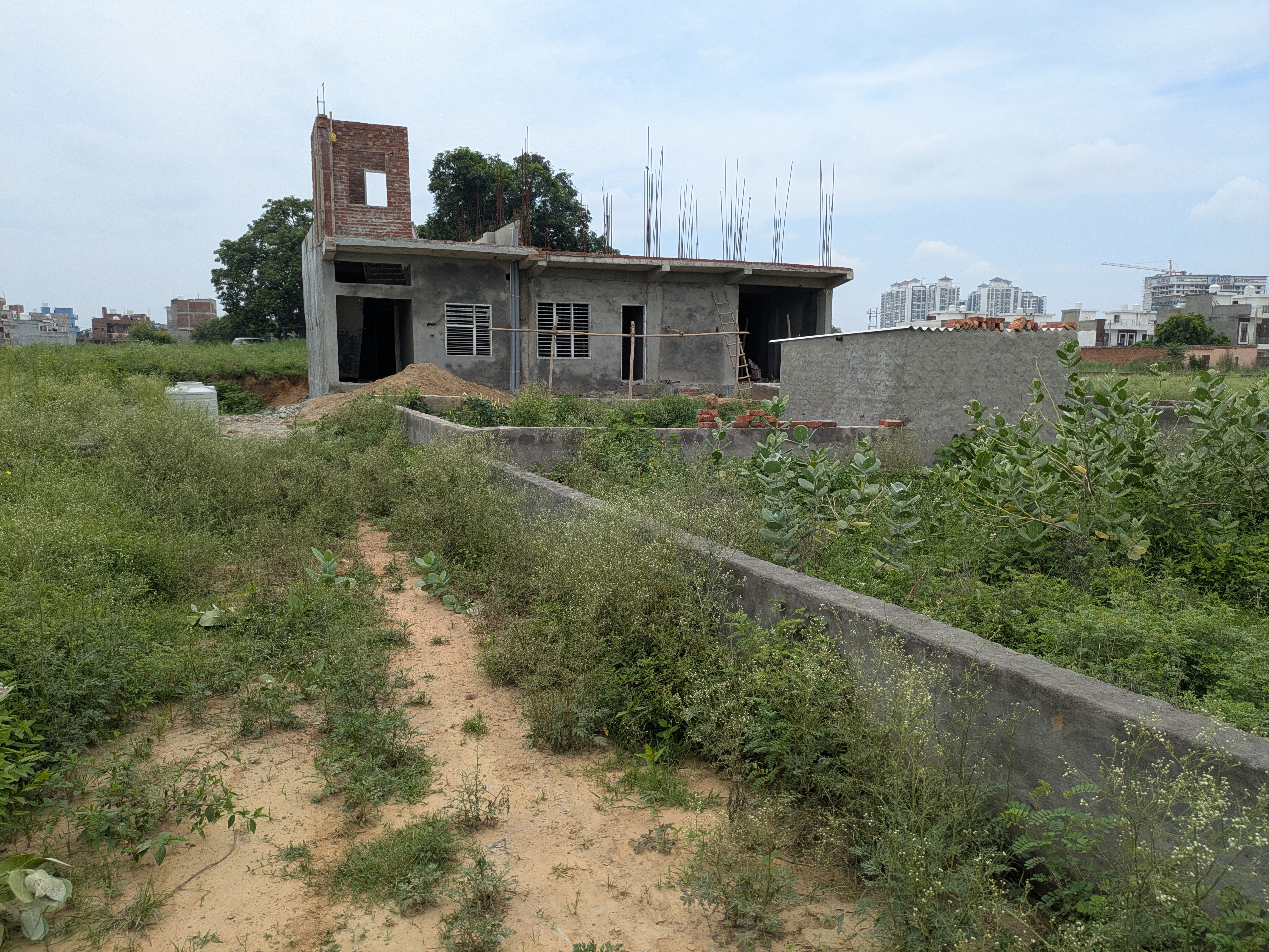 Plot For Sale in Sector 145