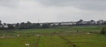 Plot Area in  Plot at Namkum – for Sale