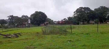 Plot Area in  Plot at Namkum – for Sale
