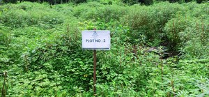  Plot For Sale in Mulshi