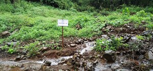  Plot For Sale in Mulshi