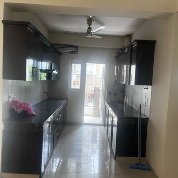 Living Room in 3.5 BHK Apartment at Ajnara Daffodil, Sector 137 – for Rent