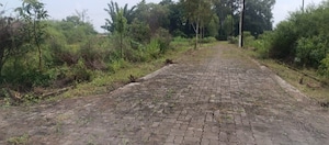  Plot For Sale in Panagar