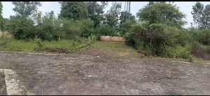Plot Area in  Plot at Panagar – for Sale