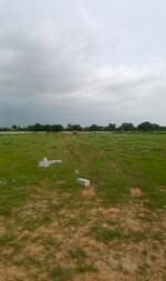 100 Sq.Yd. Plot in Anand Enclave