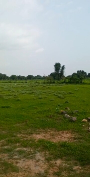 Plot Area in  Plot at Anand Enclave, Tonk Road – for Sale
