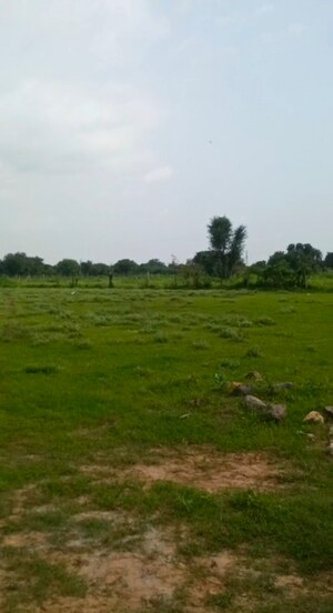 Plot Area in  Plot at Anand Enclave, Tonk Road – for Sale