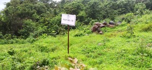  Plot For Sale in Mulshi