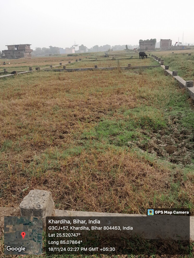undefined, painal  1361 Sq.Ft. Plot In Painal Patna 9098500