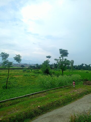  Plot For Sale in Sherpur