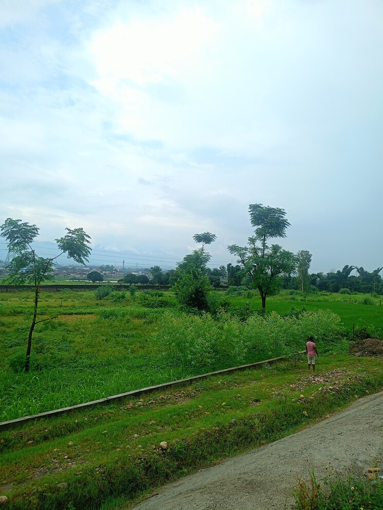 Garden, sherpur  82000 Sq.Ft. Plot In Sherpur Dehradun 9098538