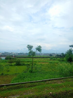 Plot Area in  Plot at Sherpur – for Sale