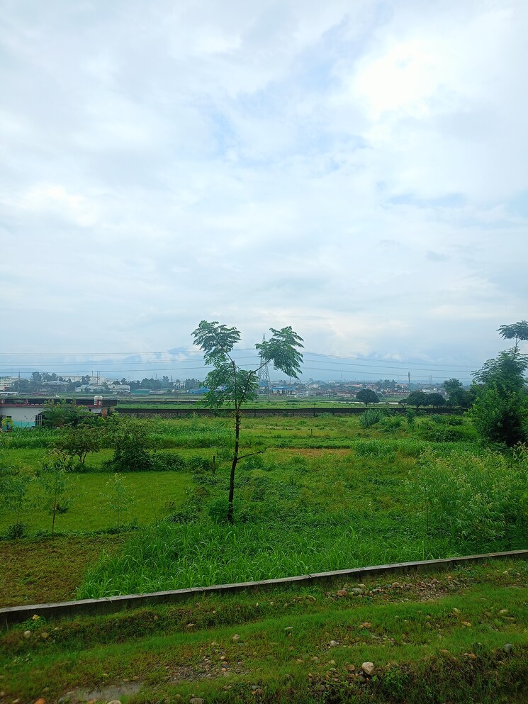 undefined, sherpur  82000 Sq.Ft. Plot In Sherpur Dehradun 9098538