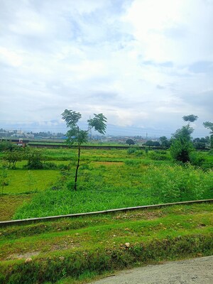 Plot Area in  Plot at Sherpur – for Sale