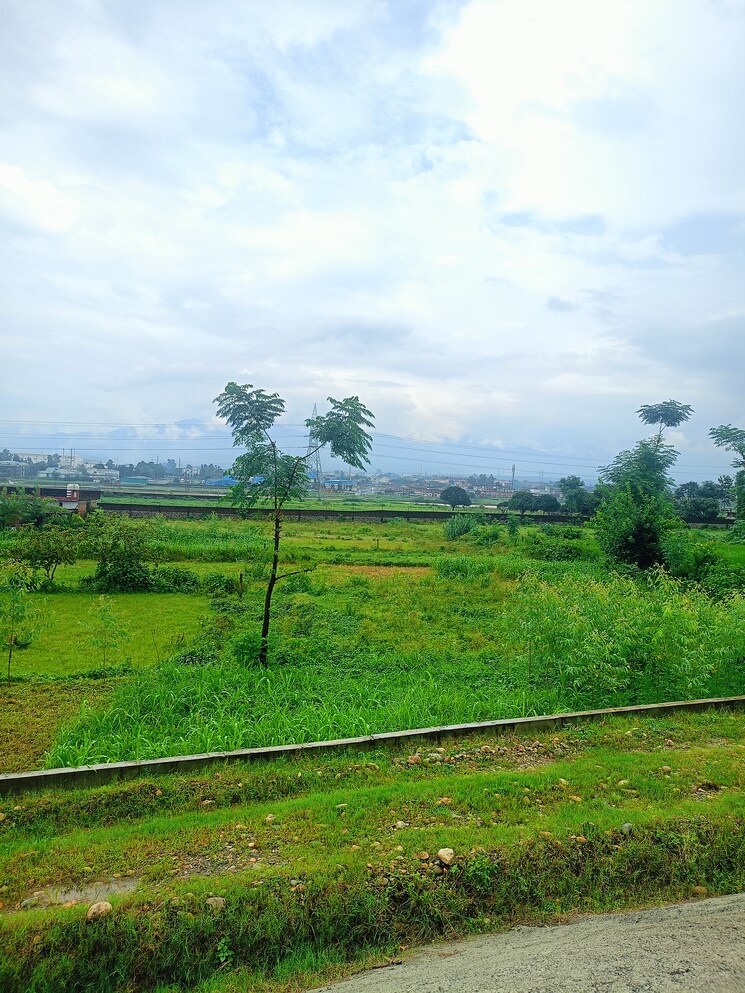 undefined, sherpur  82000 Sq.Ft. Plot In Sherpur Dehradun 9098538