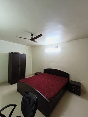 2 BHK Apartment For Rent in Ahura Liberty Phase I, Koregaon Park