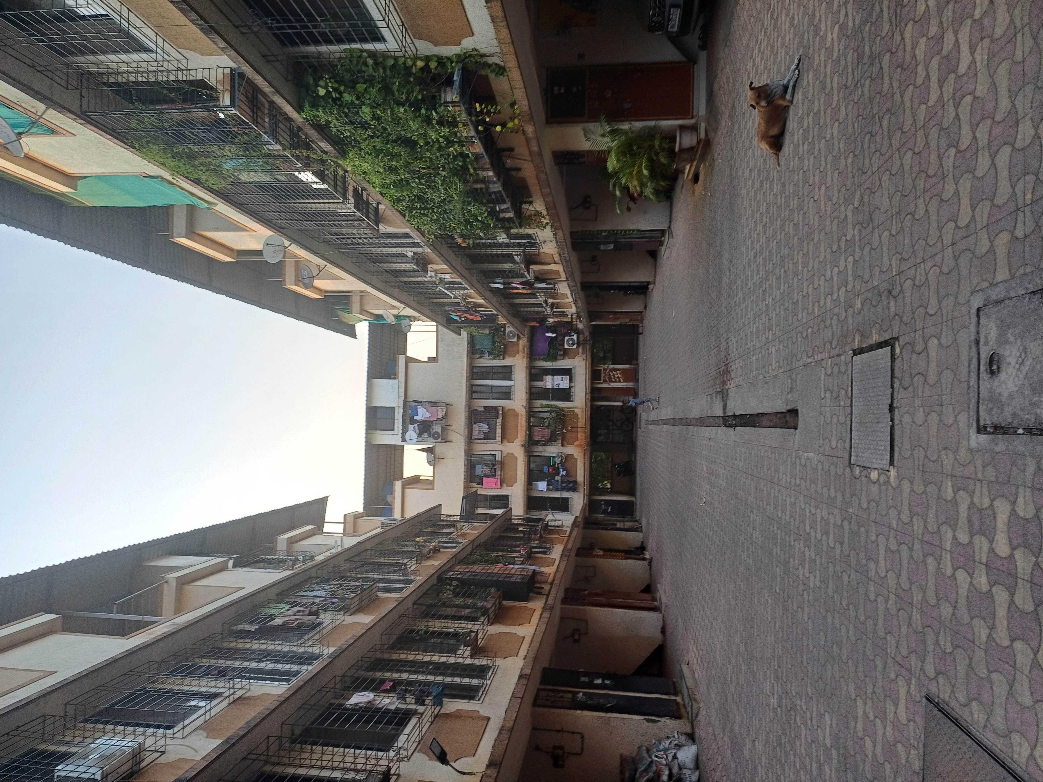 1 BHK Apartment For Rent in Ss3 For Rent In Ghansoli 