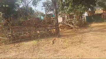 Plot Area in  Plot at Tanko – for Sale